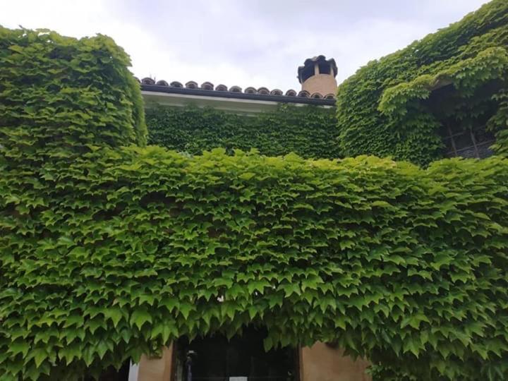 Hotel La Posada De Lalola Buera Eksteriør billede